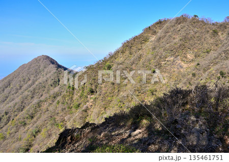 愛鷹山塊の蓬莱岳(蓬莱山) 天狗の畑展望地より望む大岳と呼子岳 愛鷹山塊の蓬莱岳(蓬莱山) 天狗の畑展望地より望む大岳と呼子岳 135461751