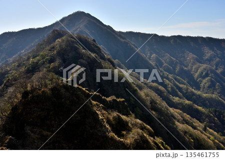 愛鷹山塊の蓬莱岳(蓬莱山)より 早春の鋸岳から位牌岳の稜線 愛鷹山塊の蓬莱岳(蓬莱山)より 早春の鋸岳から位牌岳の稜線 135461755