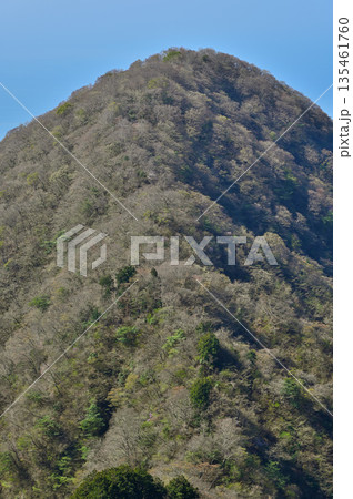 愛鷹山塊の呼子岳山頂より　早春の大岳を望む 135461760