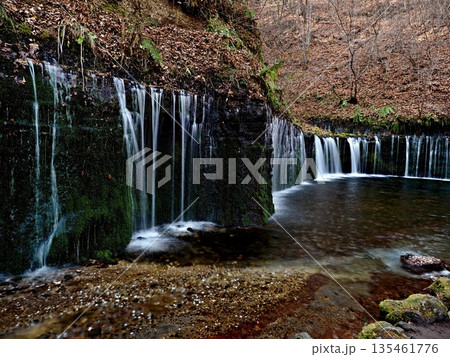 白糸の滝 白糸の滝 135461776