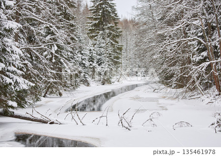 a calm winding river in a snowy forest, trees under the snow in the forest, peace and quiet, reflection on the water, without people a calm winding river in a snowy forest, trees under the snow in the forest, peace and quiet, reflection on the water, without people 135461978
