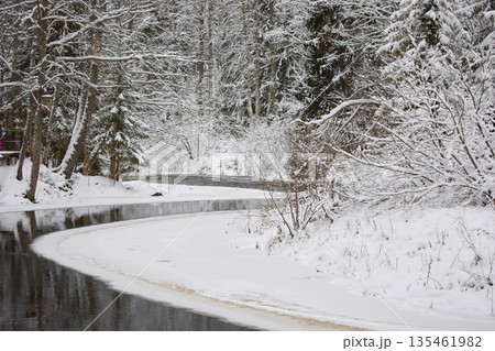 a calm winding river in a snowy forest, trees under the snow in the forest, peace and quiet, reflection on the water, without people 135461982