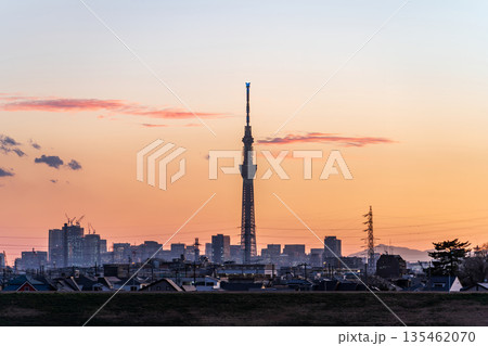 「千葉県」江戸川河川敷から夕景の東京スカイツリーを望む 135462070