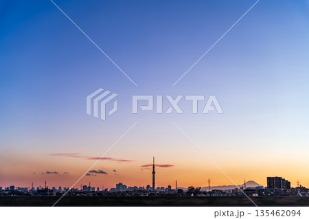 「千葉県」江戸川河川敷から夕景の東京スカイツリーを望む 135462094