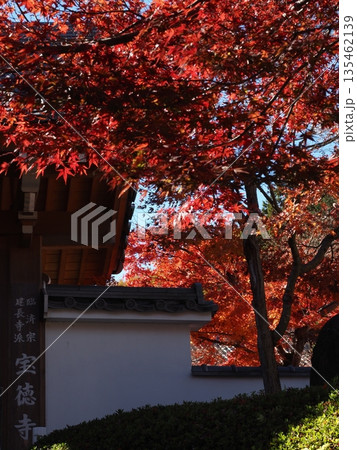 宝徳寺の風景 135462139