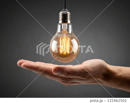 黒い壁紙と手のひらの上の電球 135462502