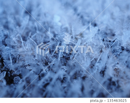 赤城山で見る霜(20260110085837) 赤城山で見る霜(20260110085837) 135463025