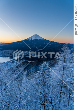 雪景色の新道峠から樹氷と夜明けの富士山 雪景色の新道峠から樹氷と夜明けの富士山 135463060