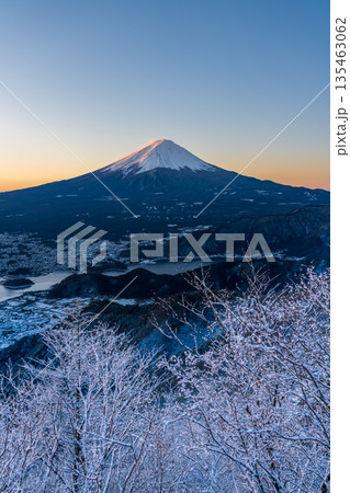 雪景色の新道峠から樹氷と夜明けの富士山 雪景色の新道峠から樹氷と夜明けの富士山 135463062