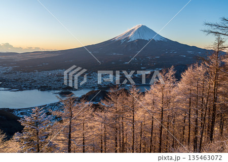 雪景色の新道峠から樹氷と夜明けの富士山 雪景色の新道峠から樹氷と夜明けの富士山 135463072