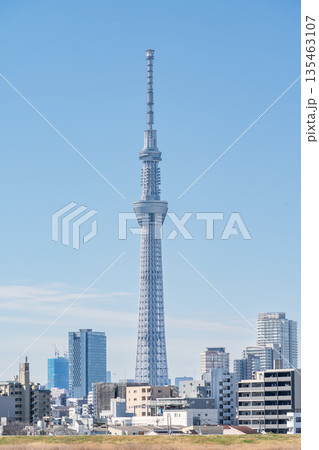 「東京都」荒川河川敷から眺める東京スカイツリー 135463107