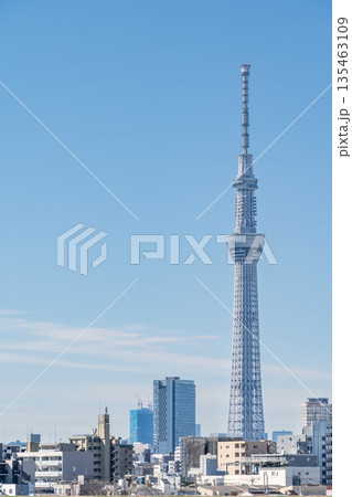 「東京都」荒川河川敷から眺める東京スカイツリー 135463109