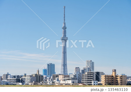 「東京都」荒川河川敷から眺める東京スカイツリー 135463110