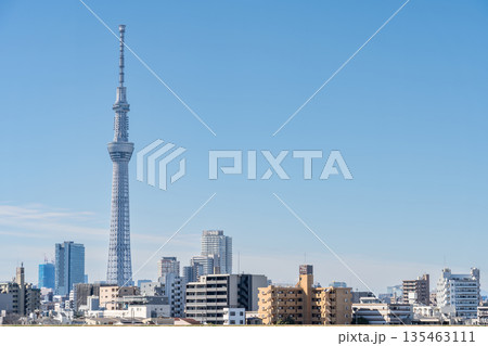 「東京都」荒川河川敷から眺める東京スカイツリー 「東京都」荒川河川敷から眺める東京スカイツリー 135463111