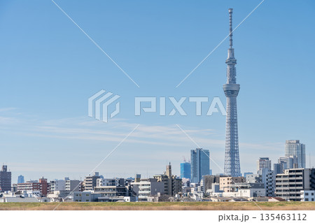 「東京都」荒川河川敷から眺める東京スカイツリー 「東京都」荒川河川敷から眺める東京スカイツリー 135463112