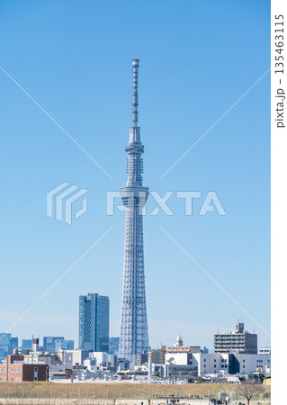 「東京都」荒川河川敷から眺める東京スカイツリー 135463115
