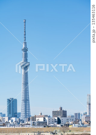「東京都」荒川河川敷から眺める東京スカイツリー 135463116