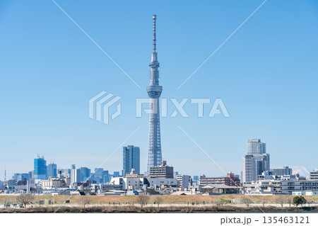 「東京都」荒川河川敷から眺める東京スカイツリー 「東京都」荒川河川敷から眺める東京スカイツリー 135463121