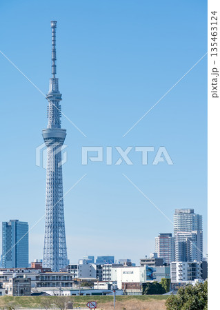 「東京都」荒川河川敷から眺める東京スカイツリー 「東京都」荒川河川敷から眺める東京スカイツリー 135463124