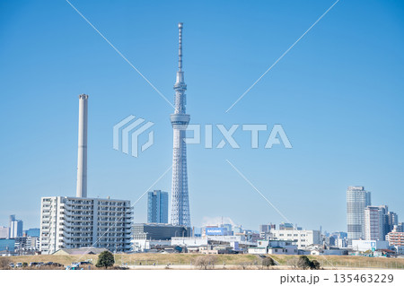 「東京都」荒川河川敷から眺める東京スカイツリー 135463229