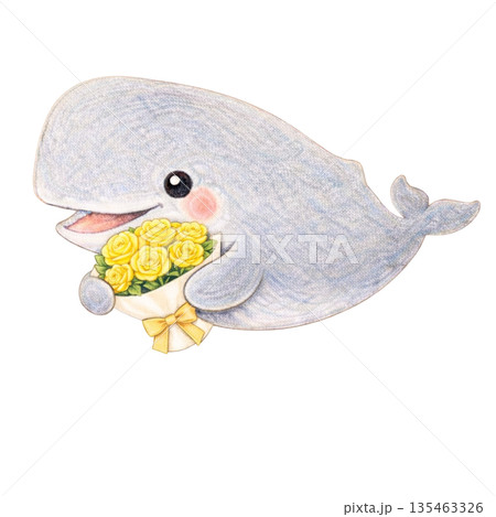 【父の日】色鉛筆風の薔薇を抱くマッコウクジラのイラスト 135463326