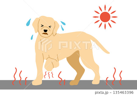 犬 手書きイラスト アスファルトが熱くて火傷する 犬 手書きイラスト アスファルトが熱くて火傷する 135463396