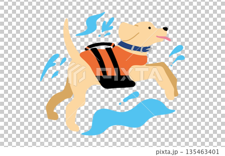 Hand-drawn illustration of a dog playing in the water wearing a life jacket 135463401