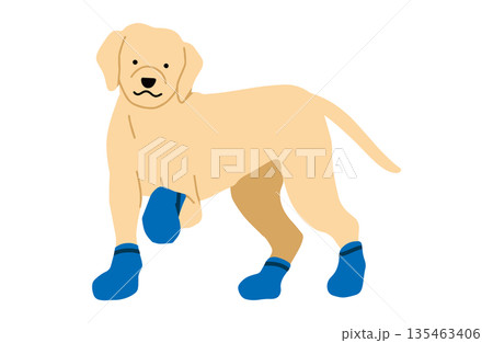 犬 手書きイラスト 靴下・シューズを着用する犬 犬 手書きイラスト 靴下・シューズを着用する犬 135463406
