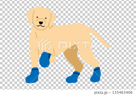 犬 手書きイラスト 靴下・シューズを着用する犬 犬 手書きイラスト 靴下・シューズを着用する犬 135463406