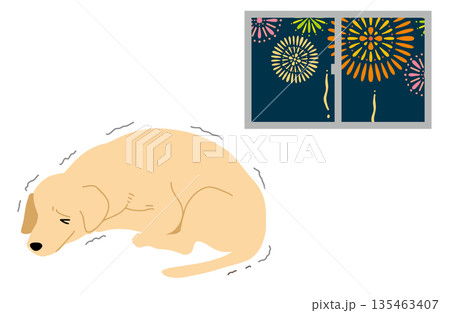 犬　手書きイラスト　花火の大きな音に怯える 135463407