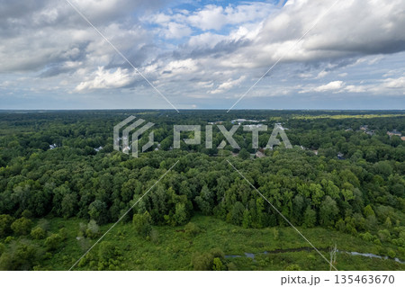 A lush green forest with a cloudy sky in the background. Richmond, USA A lush green forest with a cloudy sky in the background. Richmond, USA 135463670