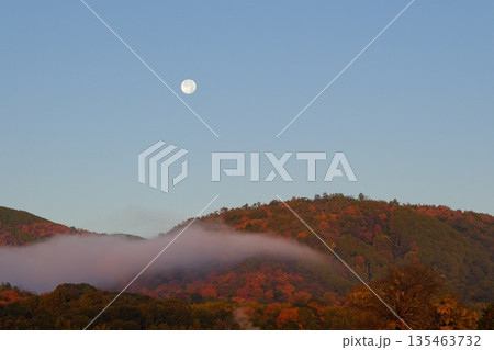 小倉山と有明の月 135463732