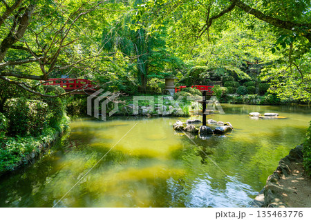 初夏の打吹公園 木漏れ日の羽衣池 鳥取県倉吉市 初夏の打吹公園 木漏れ日の羽衣池 鳥取県倉吉市 135463776