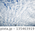 高積雲（ひつじ雲） 135463919