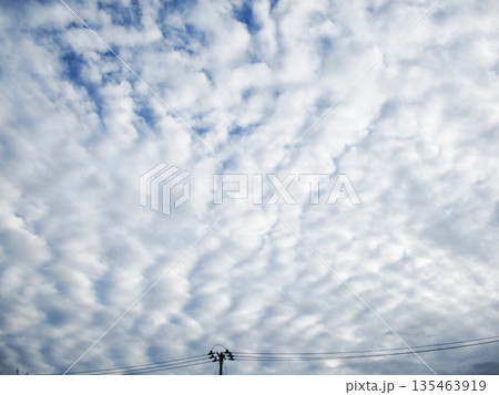 高積雲(ひつじ雲) 高積雲(ひつじ雲) 135463919