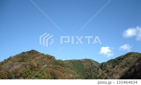 冬の晴れ間の山の上の森と青空風景 冬の晴れ間の山の上の森と青空風景 135464634
