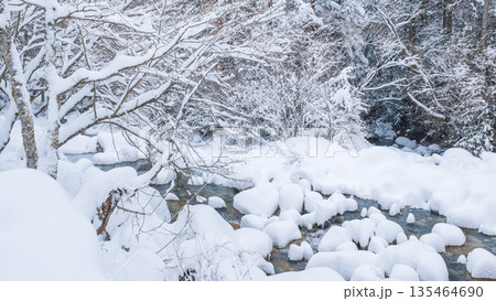 冬の川（夕森渓谷） 135464690