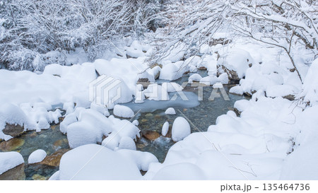 冬の川(夕森渓谷) 冬の川(夕森渓谷) 135464736