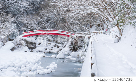夕森渓谷（冬）：もみじ橋 135464739