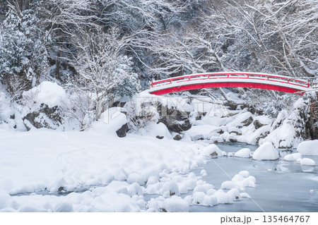 夕森渓谷(冬):もみじ橋 夕森渓谷(冬):もみじ橋 135464767