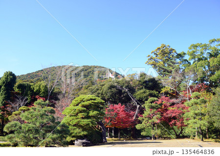 伊勢神宮内宮境内の神苑-2 伊勢神宮内宮境内の神苑-2 135464836