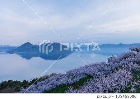 北海道洞爺湖AM602 北海道洞爺湖AM602 135465086