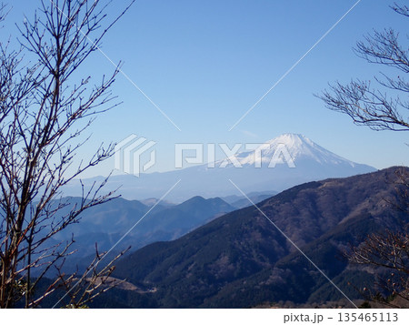 土山峠から大山経由で秦野駅までの登山道 土山峠から大山経由で秦野駅までの登山道 135465113