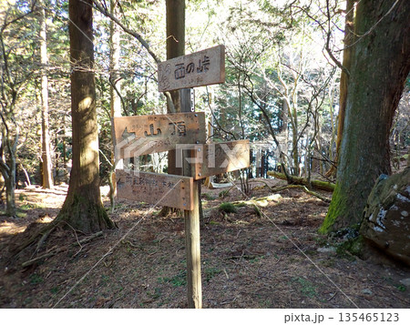 土山峠から大山経由で秦野駅までの登山道 135465123