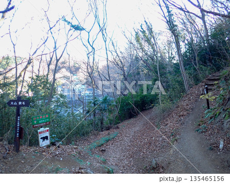 土山峠から大山経由で秦野駅までの登山道 135465156