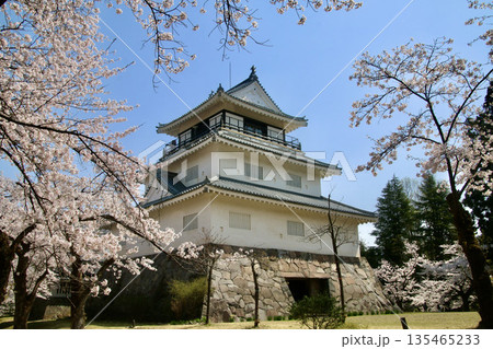 悠久山公園の桜とお城（長野県・長岡市） 135465233