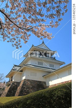 悠久山公園の桜とお城(長野県・長岡市) 悠久山公園の桜とお城(長野県・長岡市) 135465234
