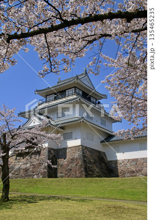 悠久山公園の桜とお城(長野県・長岡市) 悠久山公園の桜とお城(長野県・長岡市) 135465235