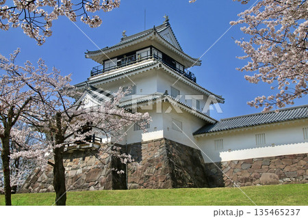 悠久山公園の桜とお城（長野県・長岡市） 135465237
