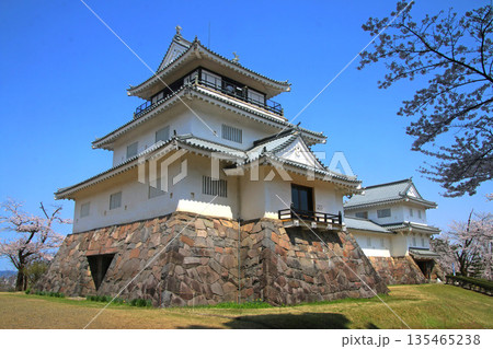悠久山公園の桜とお城(長野県・長岡市) 悠久山公園の桜とお城(長野県・長岡市) 135465238